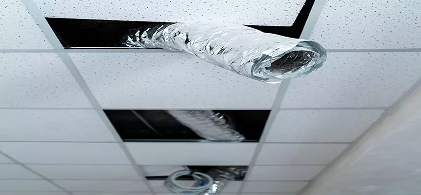 Our Air Duct Pet Hair Removal Services in Irondequoit, NY