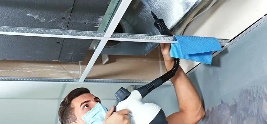 Our Air Duct Rodent Removal Services in Irondequoit, NY