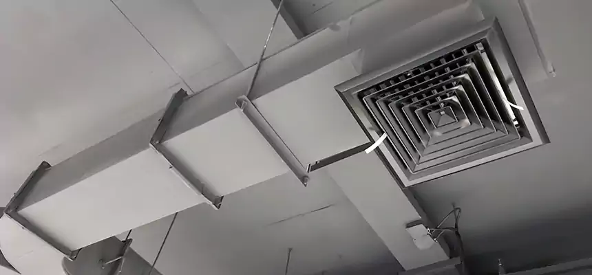 Restorative Allergy Relief Vent Cleaning – Coil, Blower & Housing Detail in Irondequoit