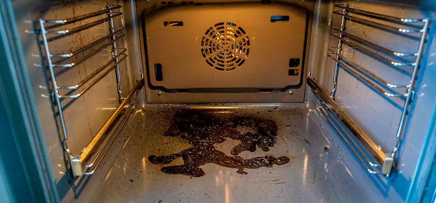 Our Dryer Vent Mold Cleaning Services in Irondequoit, NY