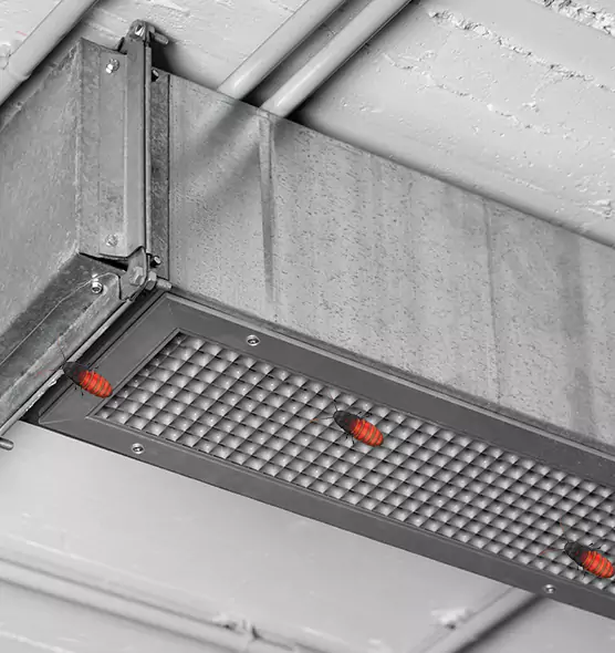 About Air Duct Cockroach Removal in Irondequoit, NY