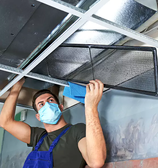 Professional Air Duct Pollen Cleaning in Irondequoit, NY