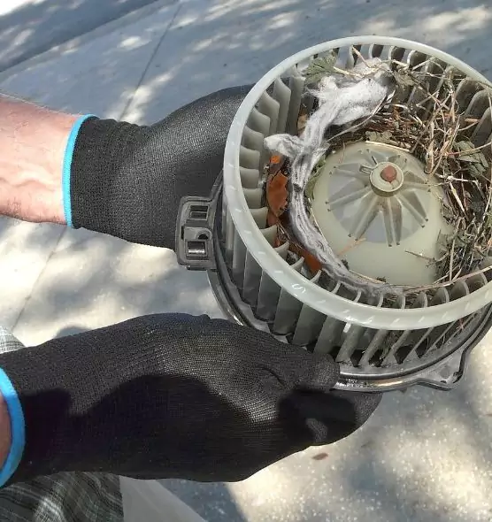 About Air Duct Rat Removal in Irondequoit, NY