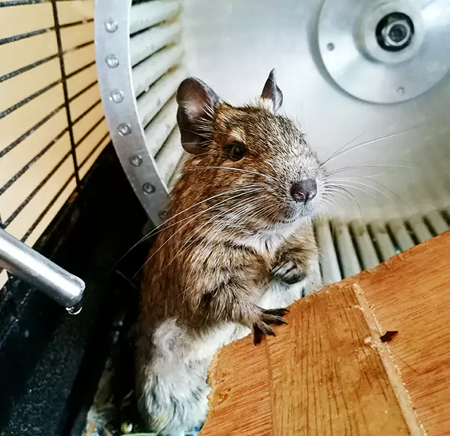 Why Homeowners & Businesses Trust Us Irondequoit, NY